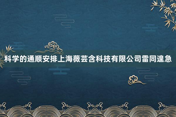 科学的通顺安排上海薇芸含科技有限公司雷同遑急