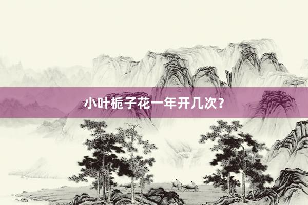 小叶栀子花一年开几次？