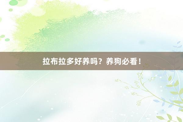 拉布拉多好养吗?养狗必看!